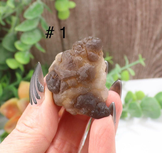 Truffle Chalcedony Specimen - Panda Agate - Womb Stone- Choose Your Favorite