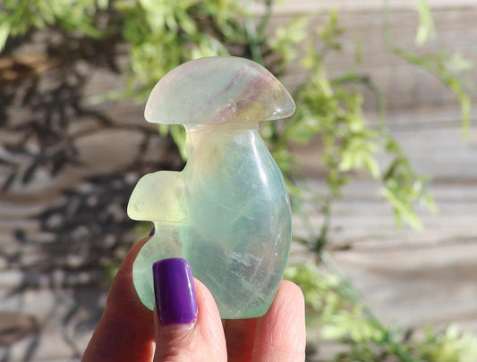 Rainbow Fluorite Double Mushroom Crystal Carving - Crystal Mushroom Decor