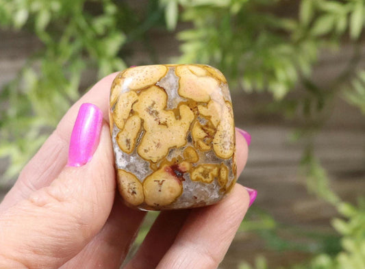Brecciated Jasper Tumbled Stones