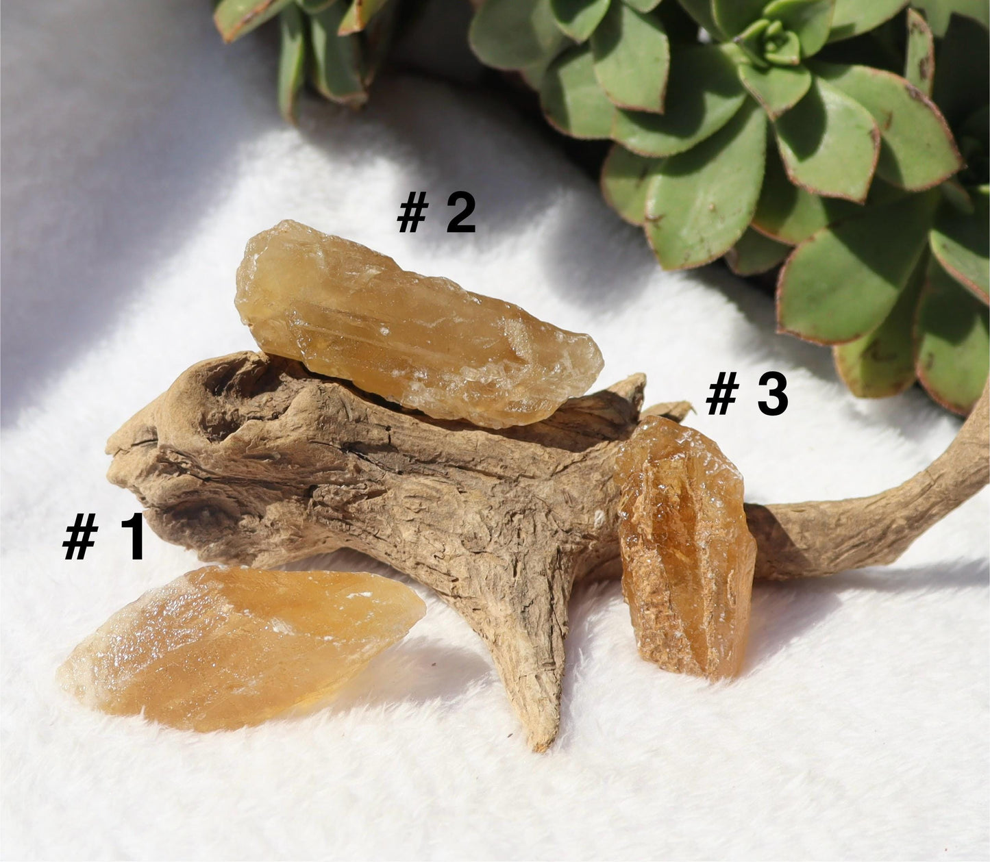 Raw Honey Golden Aragonite from Namibia YOU CHOOSE