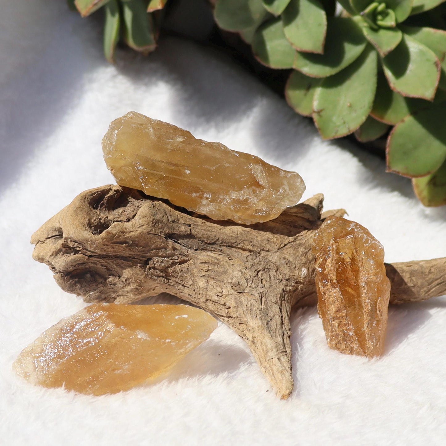 Raw Honey Golden Aragonite from Namibia YOU CHOOSE