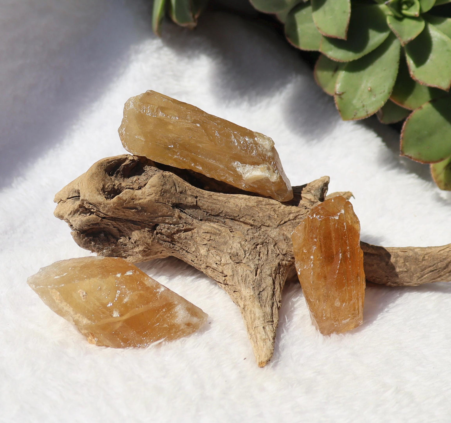 Raw Honey Golden Aragonite from Namibia YOU CHOOSE