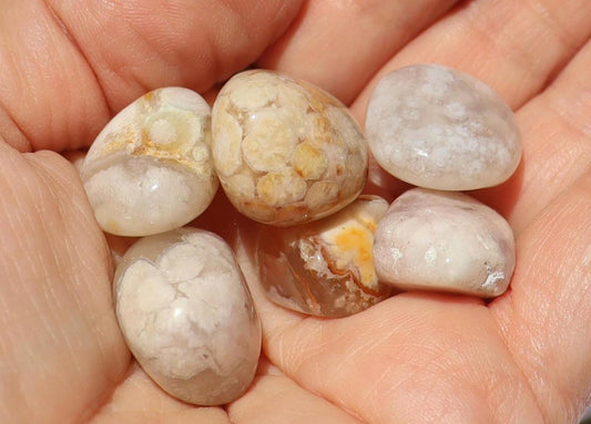 Flower Agate Tumbles