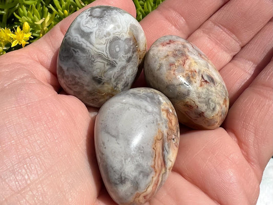 Crazy Lace Agate Tumbled Stones