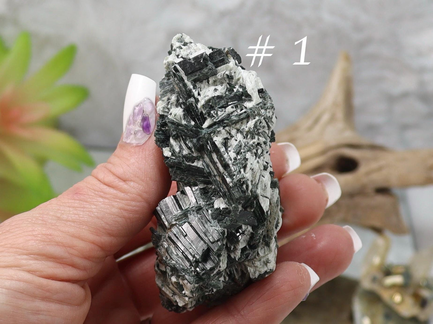 Actinolite Crystals in Matrix - Actinolite Specimen