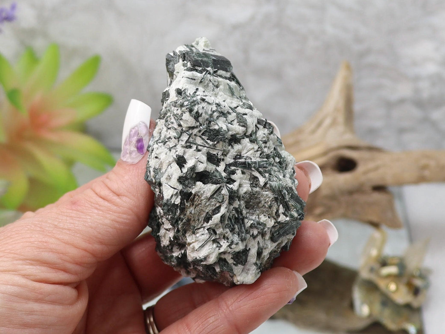 Actinolite Crystals in Matrix - Actinolite Specimen