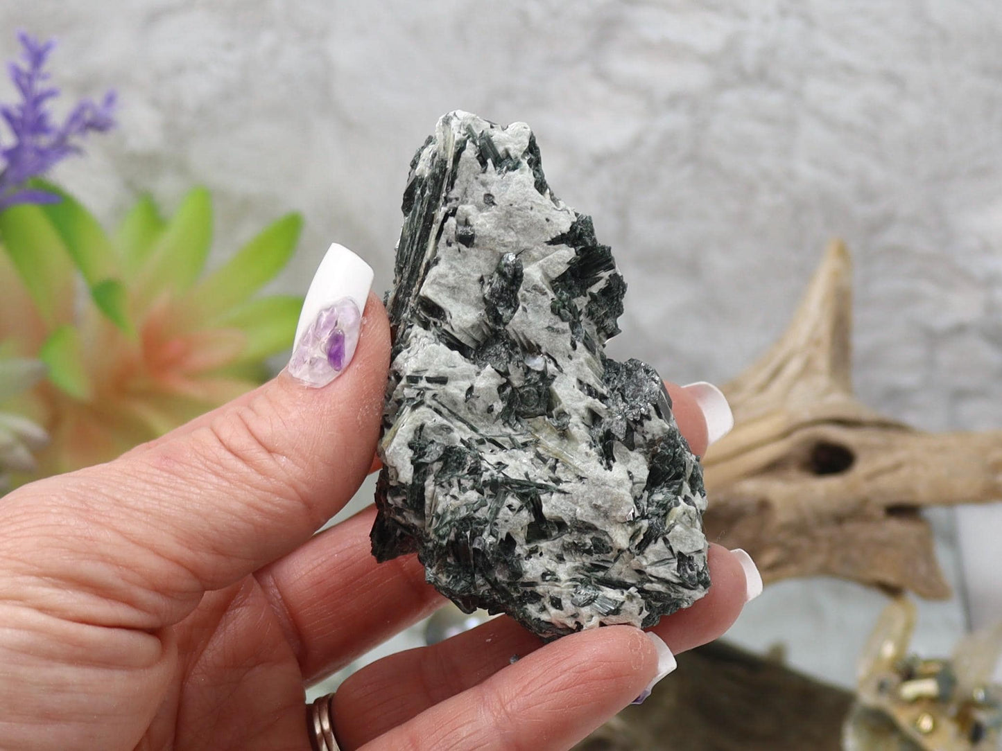 Actinolite Crystals in Matrix - Actinolite Specimen