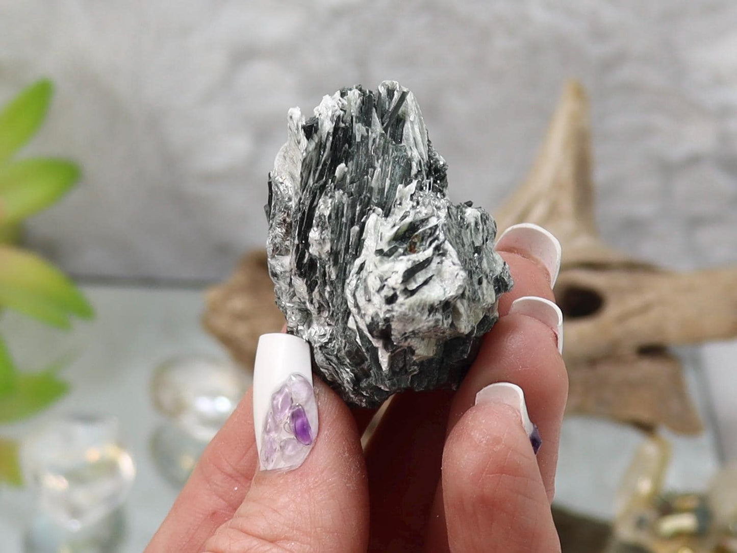 Actinolite Crystals in Matrix - Actinolite Specimen