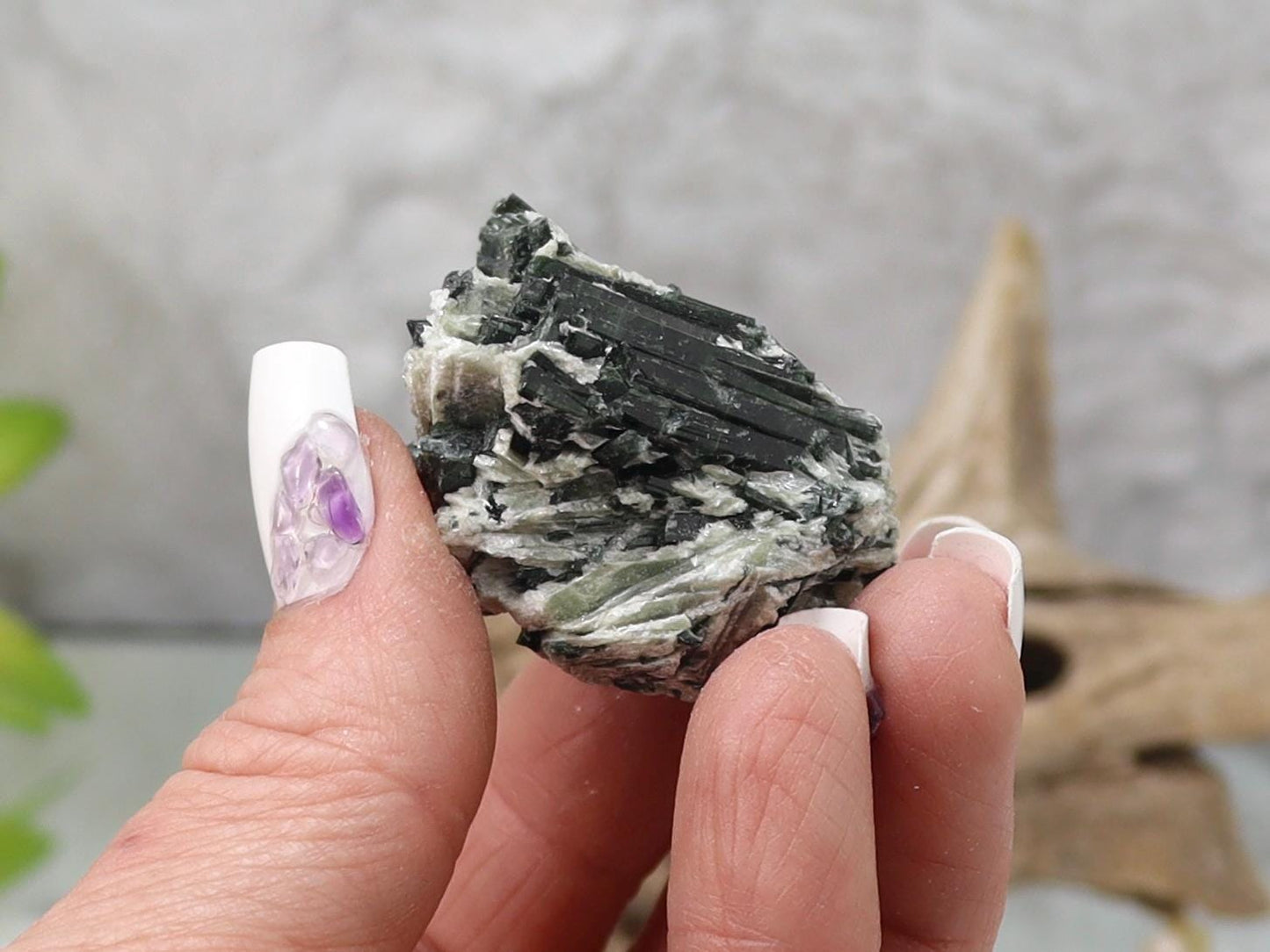 Actinolite Crystals in Matrix - Actinolite Specimen