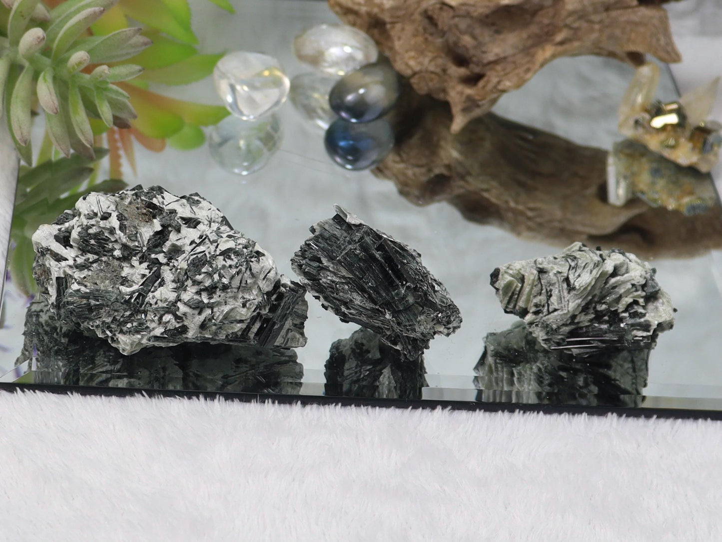 Actinolite Crystals in Matrix - Actinolite Specimen