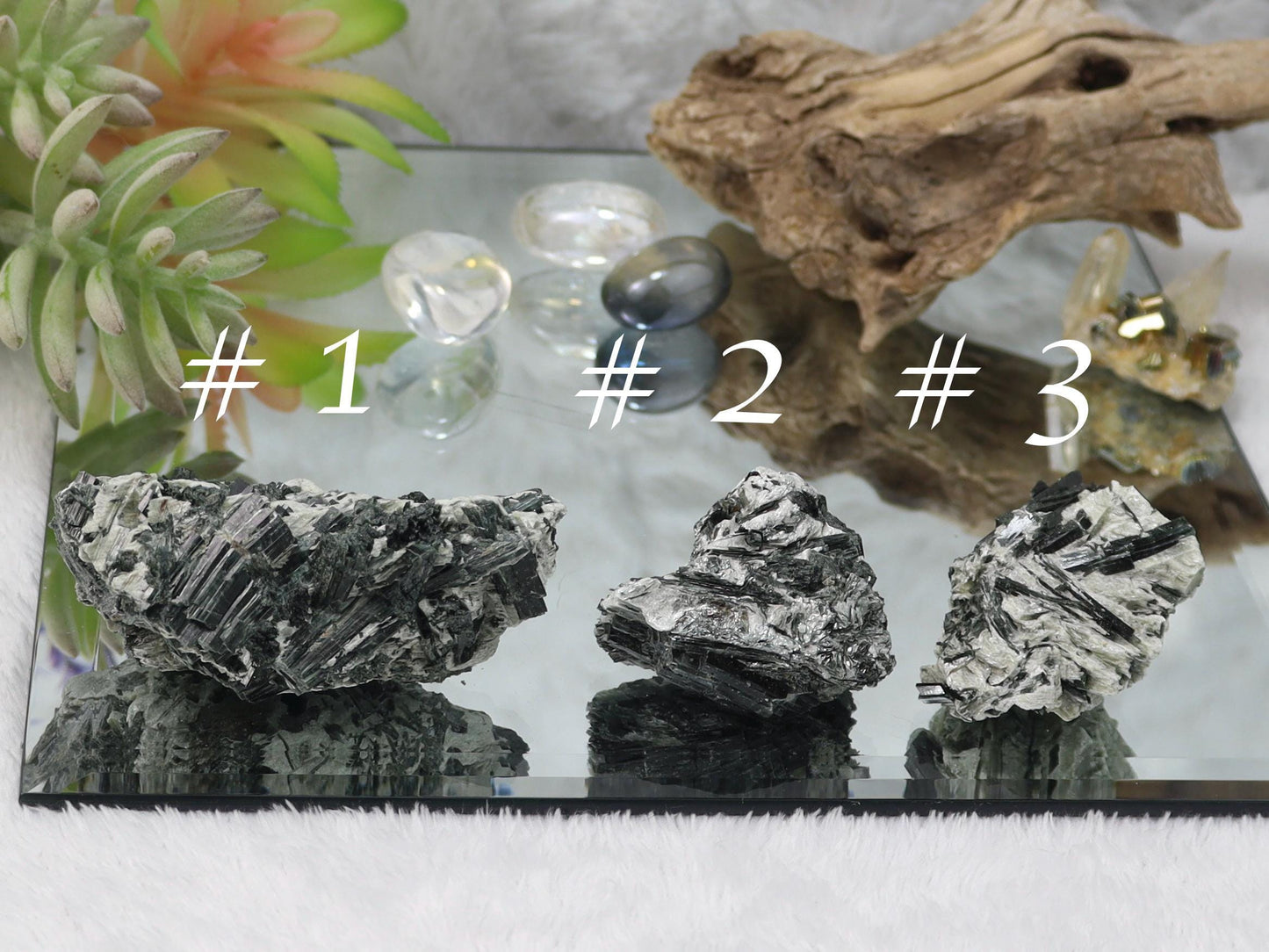 Actinolite Crystals in Matrix - Actinolite Specimen
