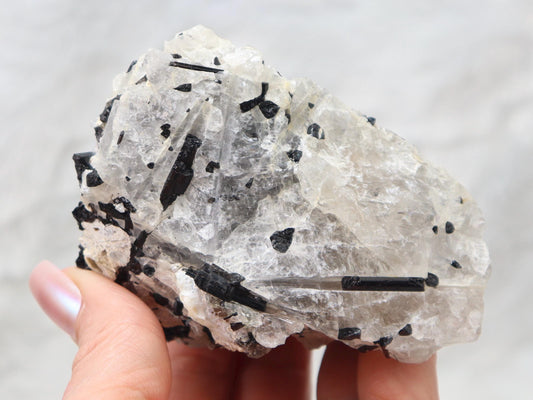 Black Tourmaline in Quartz, Natural Black Tourmaline and Quartz Specimen