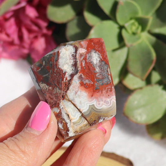 Mexican Crazy Lace Agate Free Form