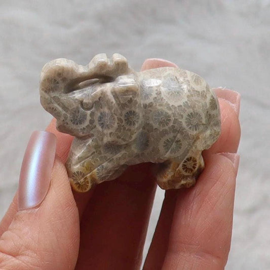 Coral Fossil Jade Crystal Elephant Carving