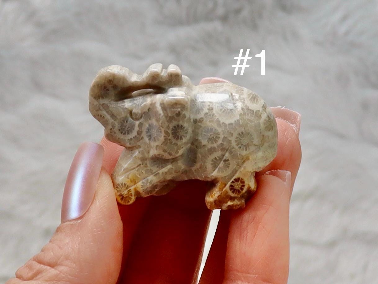 Coral Fossil Jade Crystal Elephant Carving