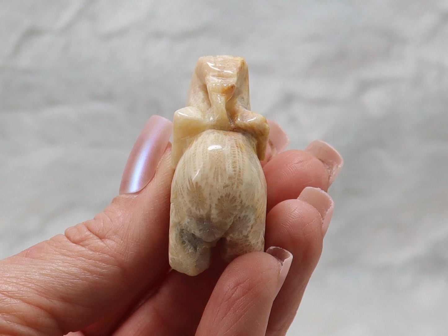 Coral Fossil Jade Crystal Elephant Carving