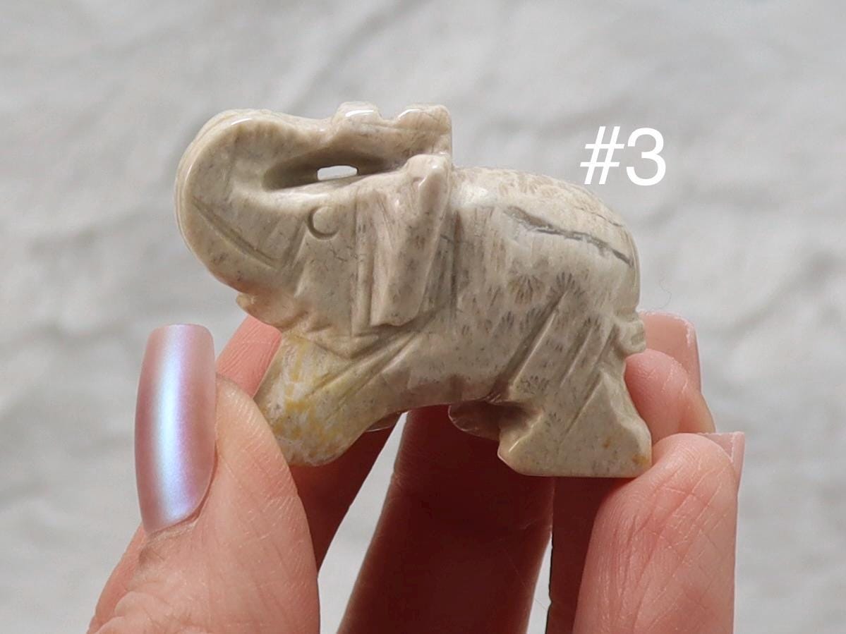 Coral Fossil Jade Crystal Elephant Carving
