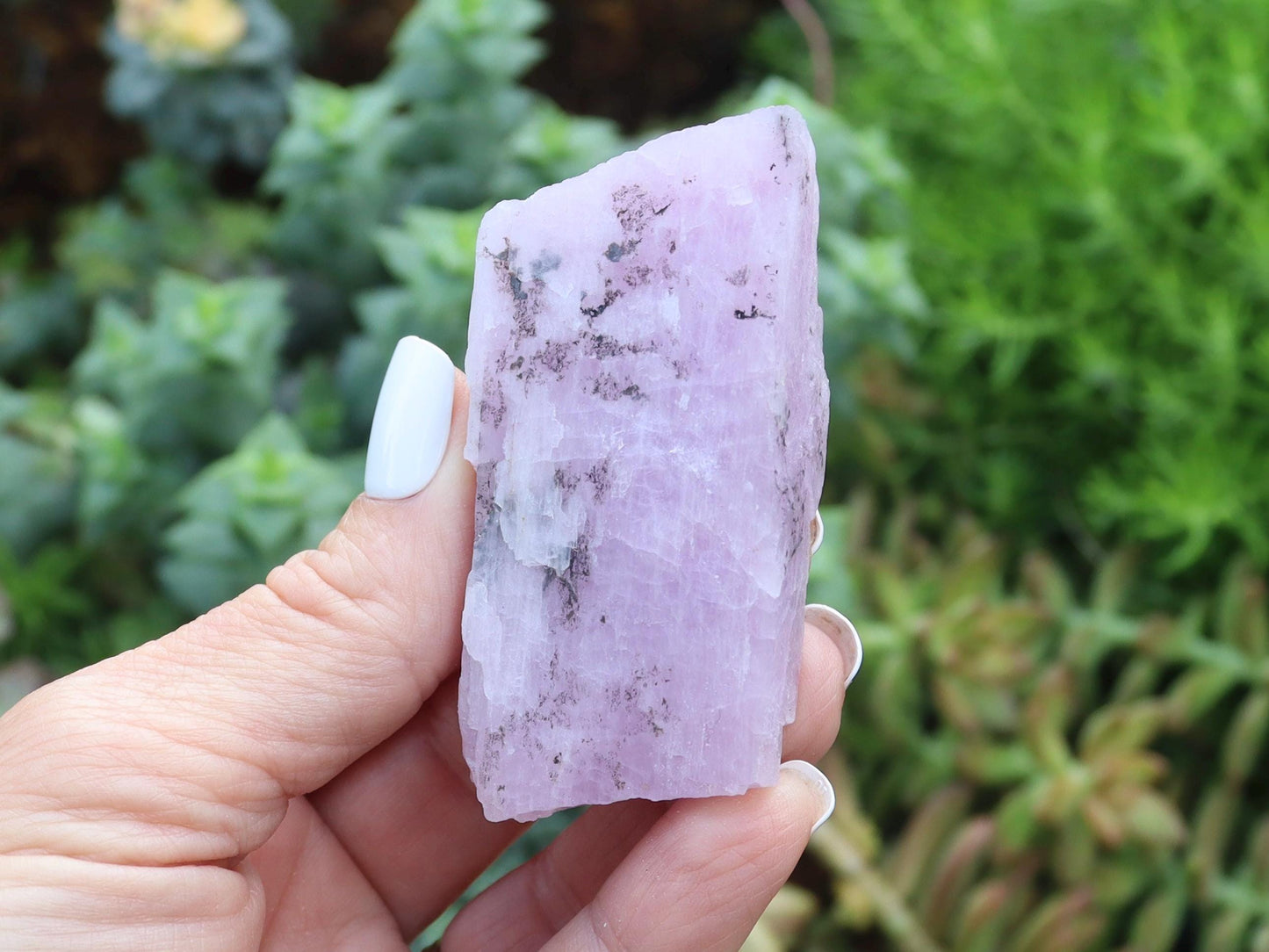 Raw Kunzite - Choose your Favorite