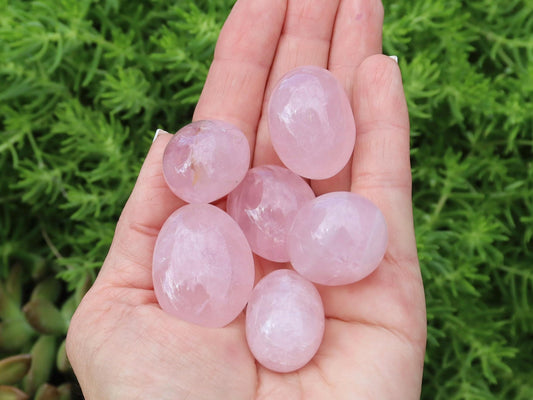 Rose Quartz Tumbled Stones
