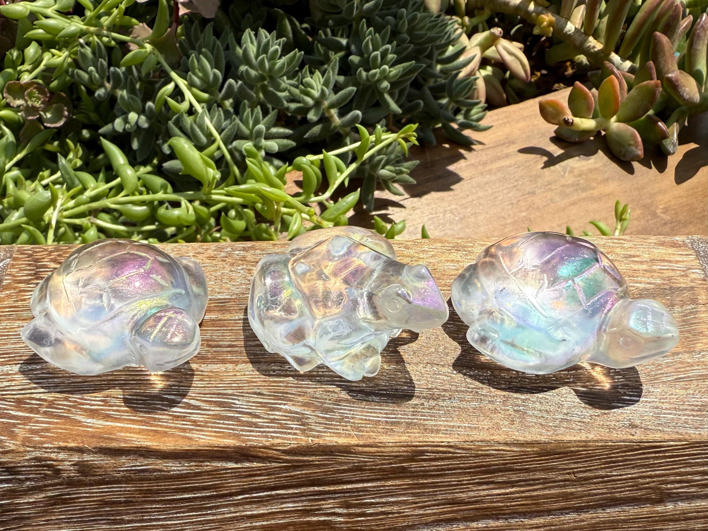 Angel Aura Glass Sea Turtle and Frog