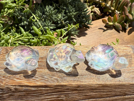 Angel Aura Glass Sea Turtle and Frog
