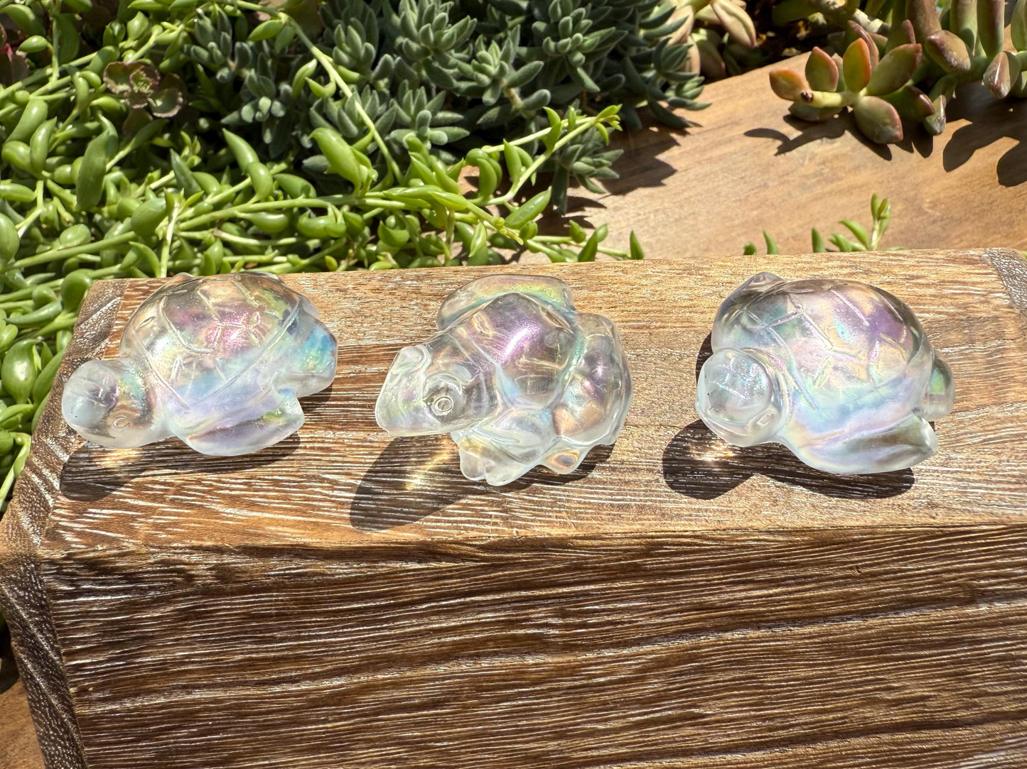 Angel Aura Glass Sea Turtle and Frog