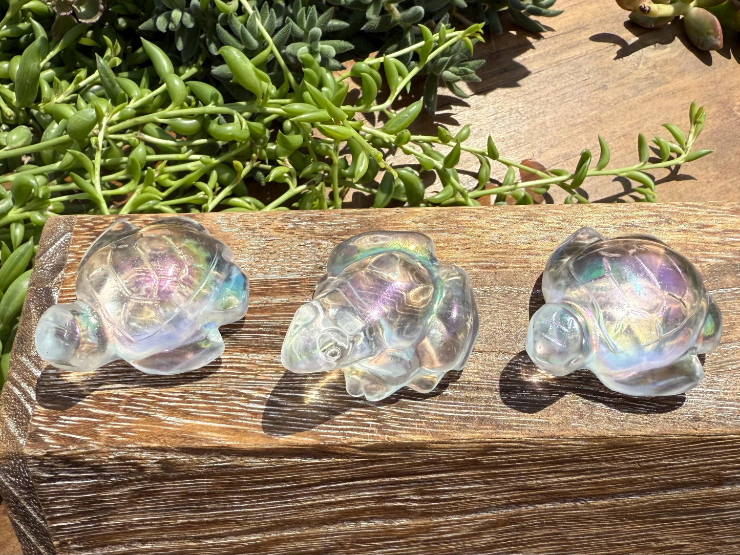 Angel Aura Glass Sea Turtle and Frog