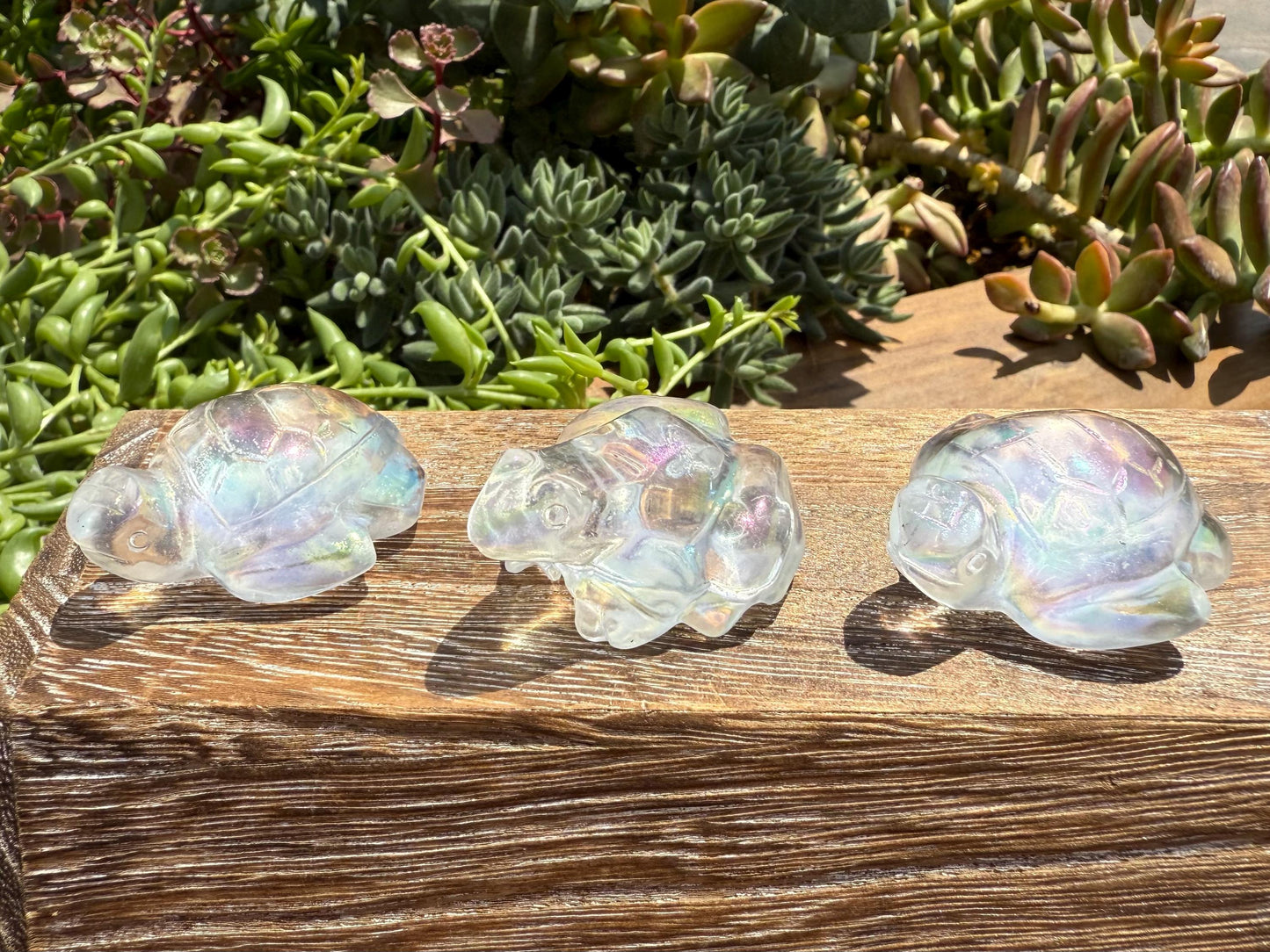 Angel Aura Glass Sea Turtle and Frog