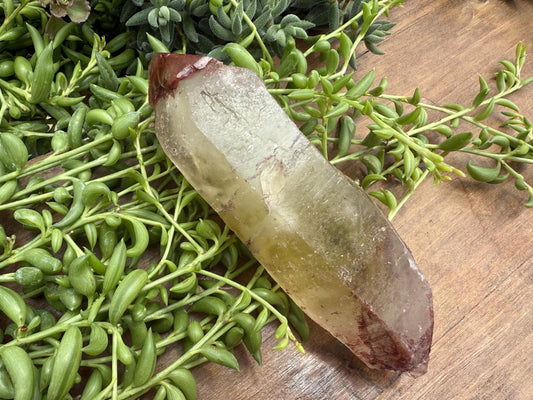 Blood Citrine Point, Minas Gerais, Brazil - Natural Brazilian Citrine Crystal - Natural Citrine - Rare Citrine
