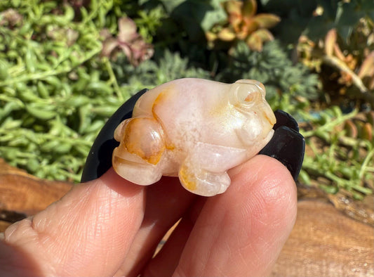 Mini Flower Agate Frog Carving
