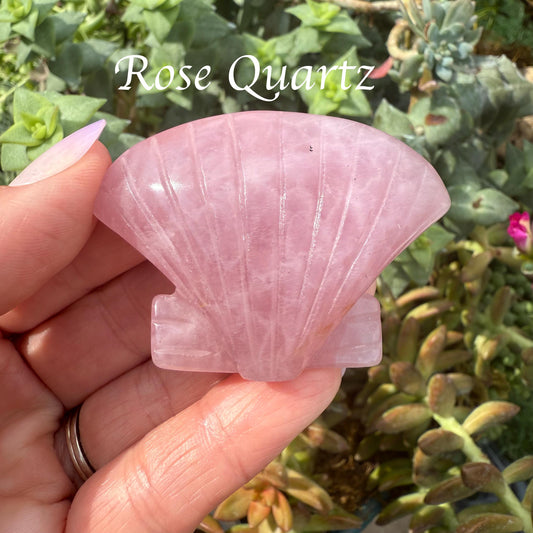 Clam Shell Crystal Carving
