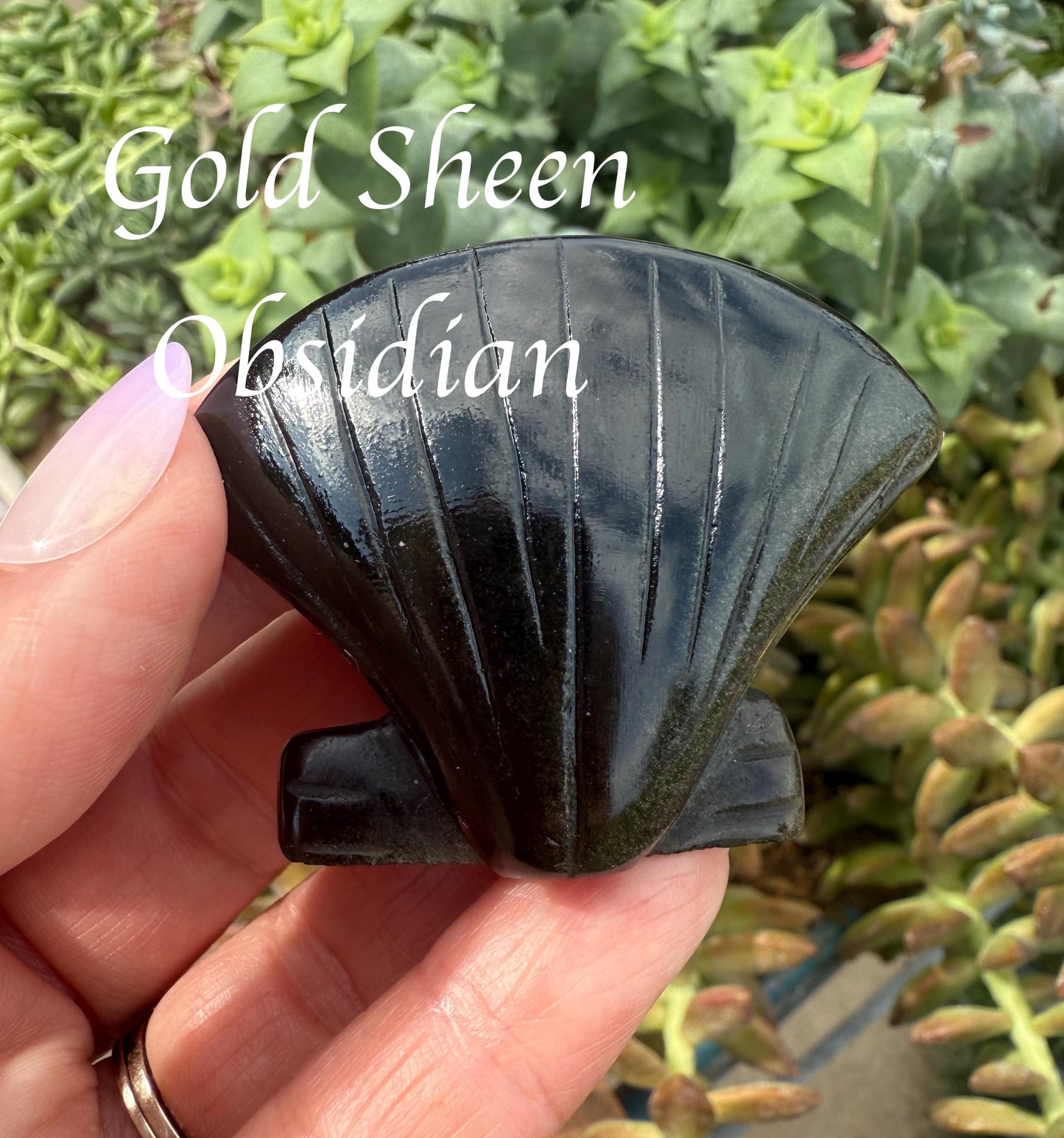 Clam Shell Crystal Carving