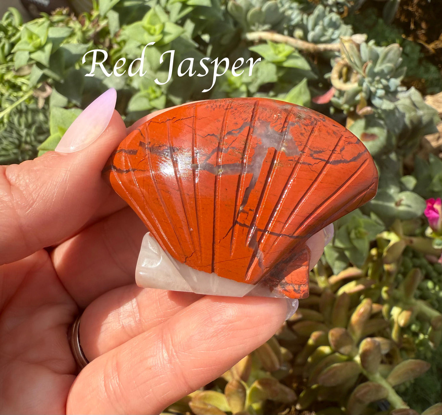 Clam Shell Crystal Carving