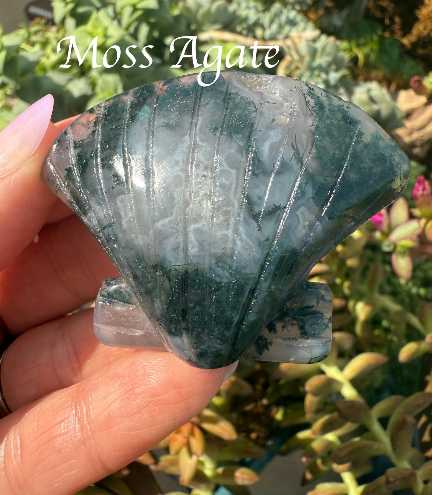 Clam Shell Crystal Carving