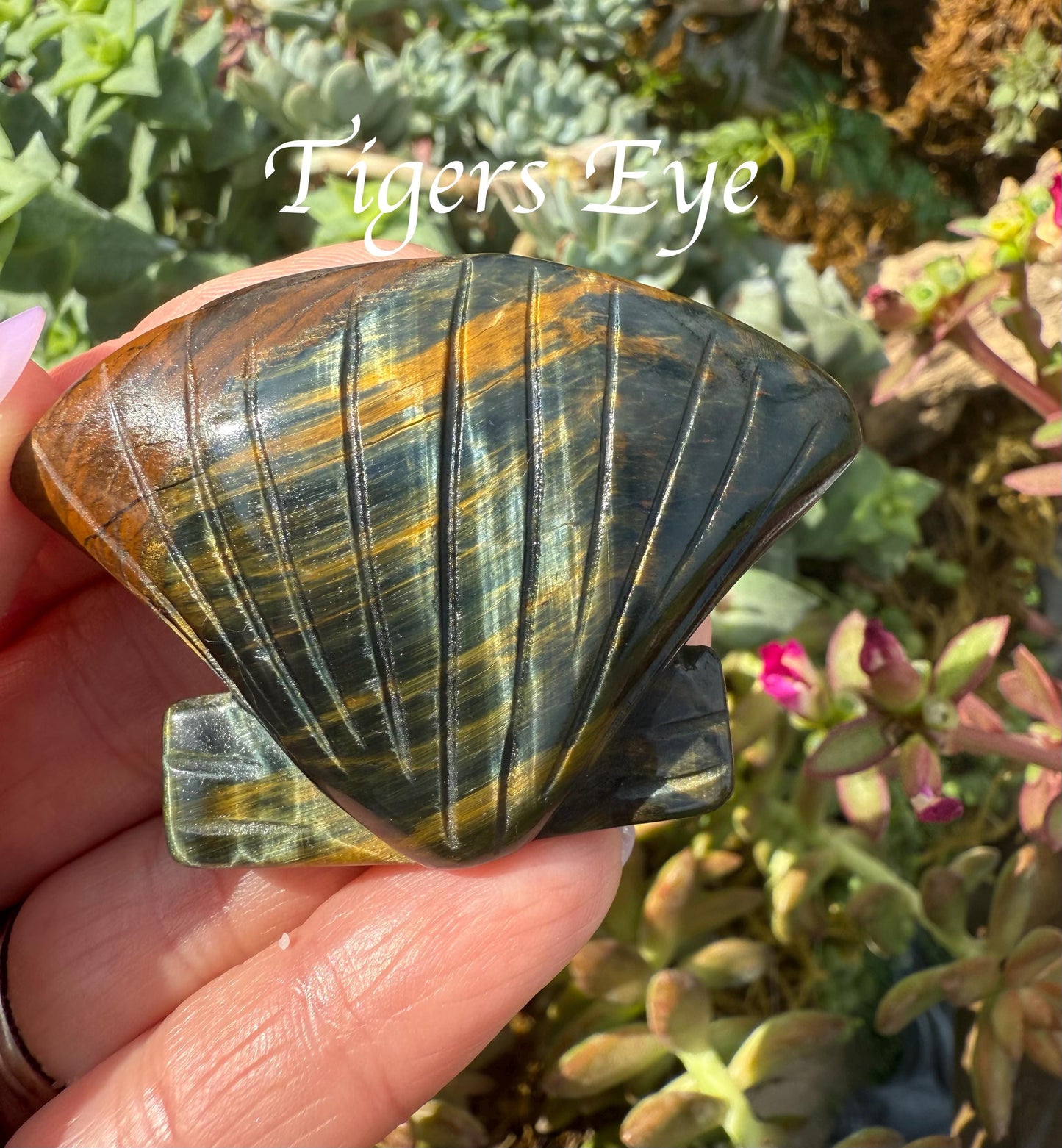 Clam Shell Crystal Carving