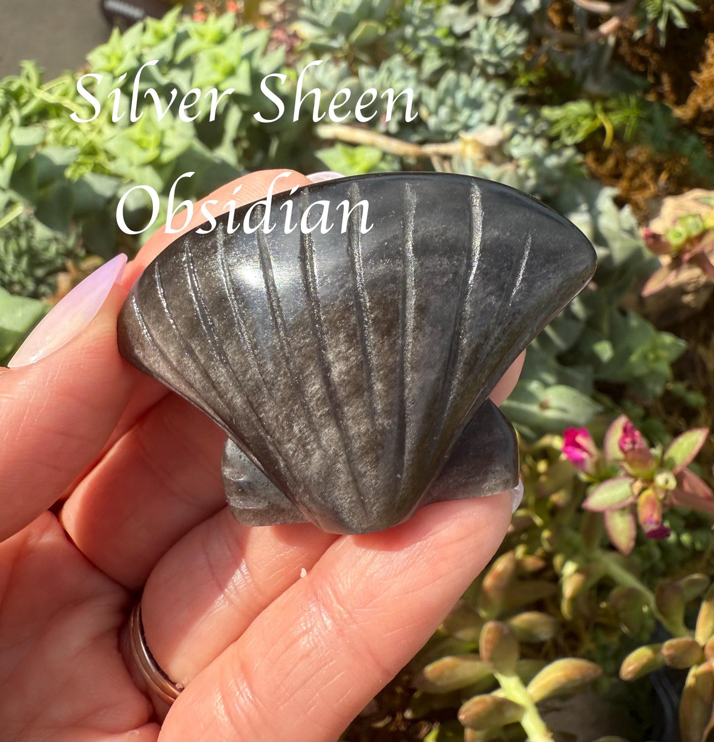 Clam Shell Crystal Carving