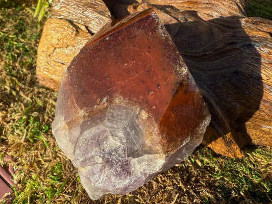 Super 7 Crystal Root w/ Polished Tip