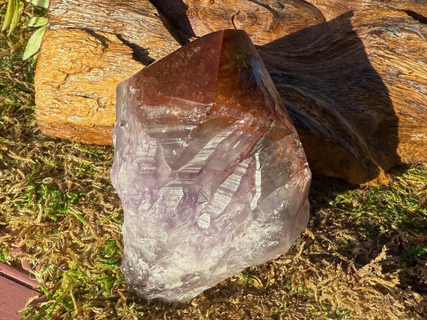 Super 7 Crystal Root w/ Polished Tip