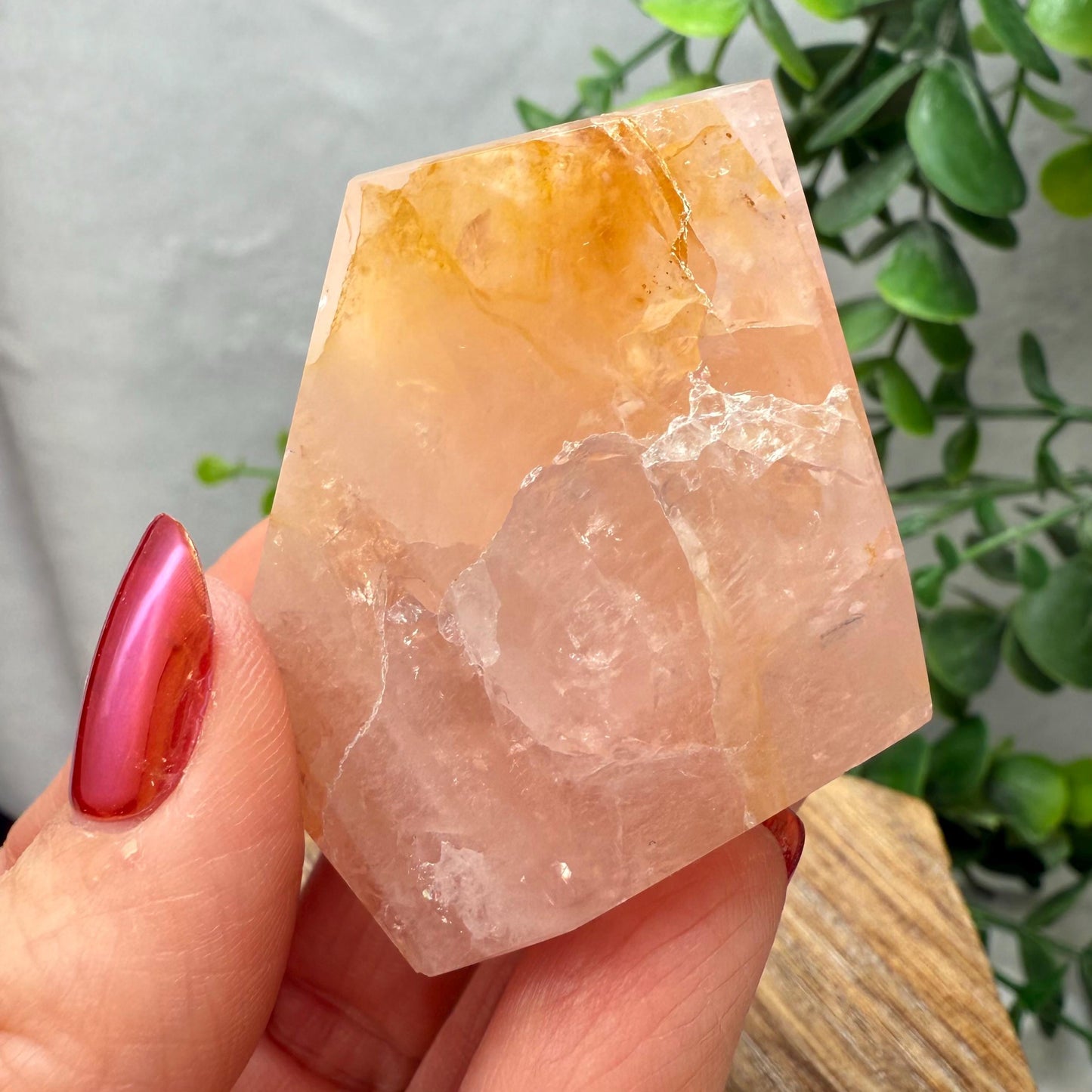 Rose Quartz with Golden Healer Crystal Free Form - Brazilian Rose Quartz
