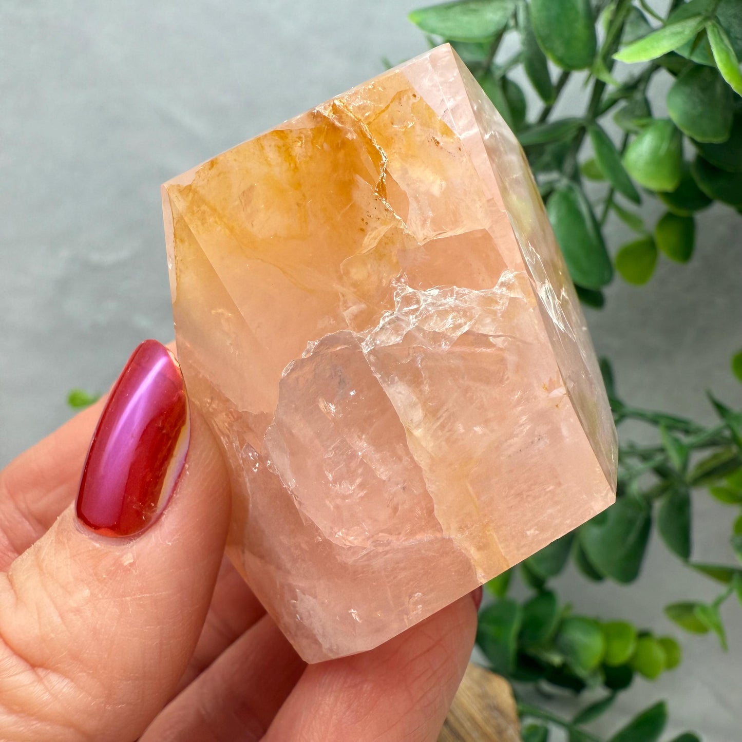 Rose Quartz with Golden Healer Crystal Free Form - Brazilian Rose Quartz