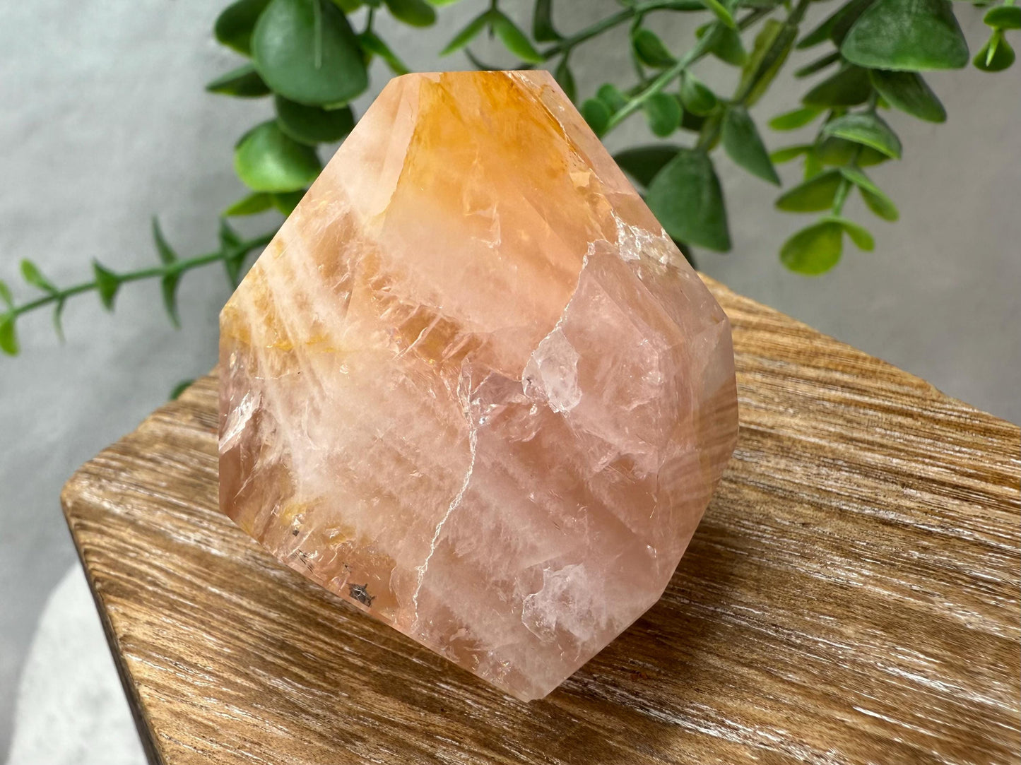 Rose Quartz with Golden Healer Crystal Free Form - Brazilian Rose Quartz