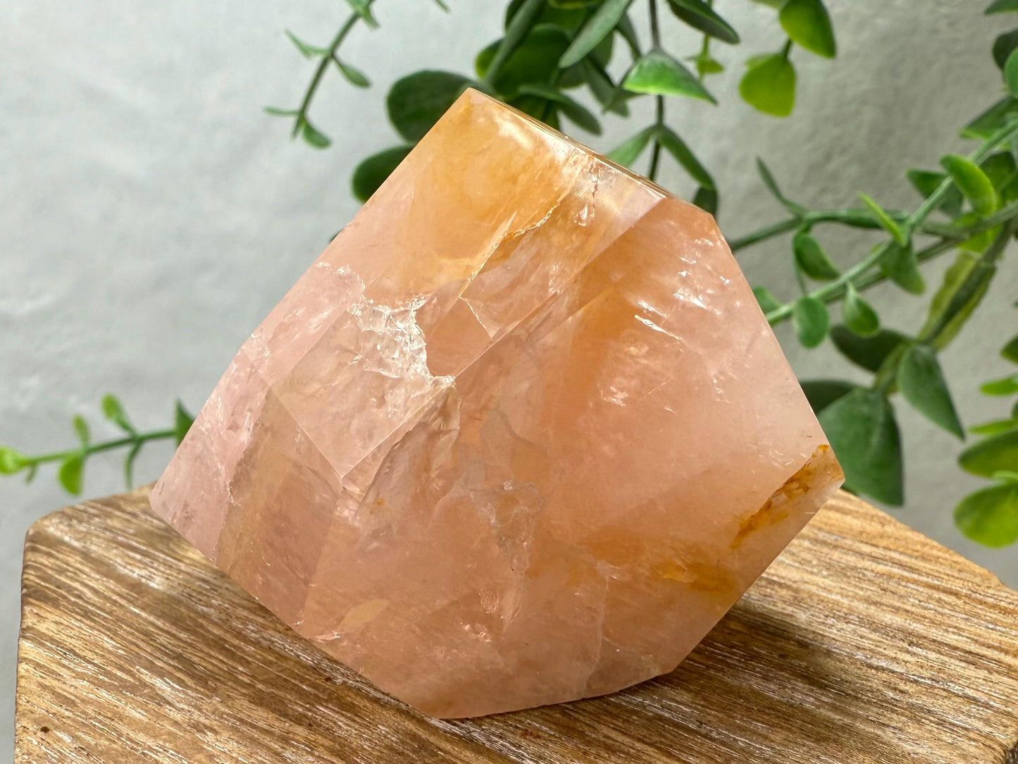 Rose Quartz with Golden Healer Crystal Free Form - Brazilian Rose Quartz