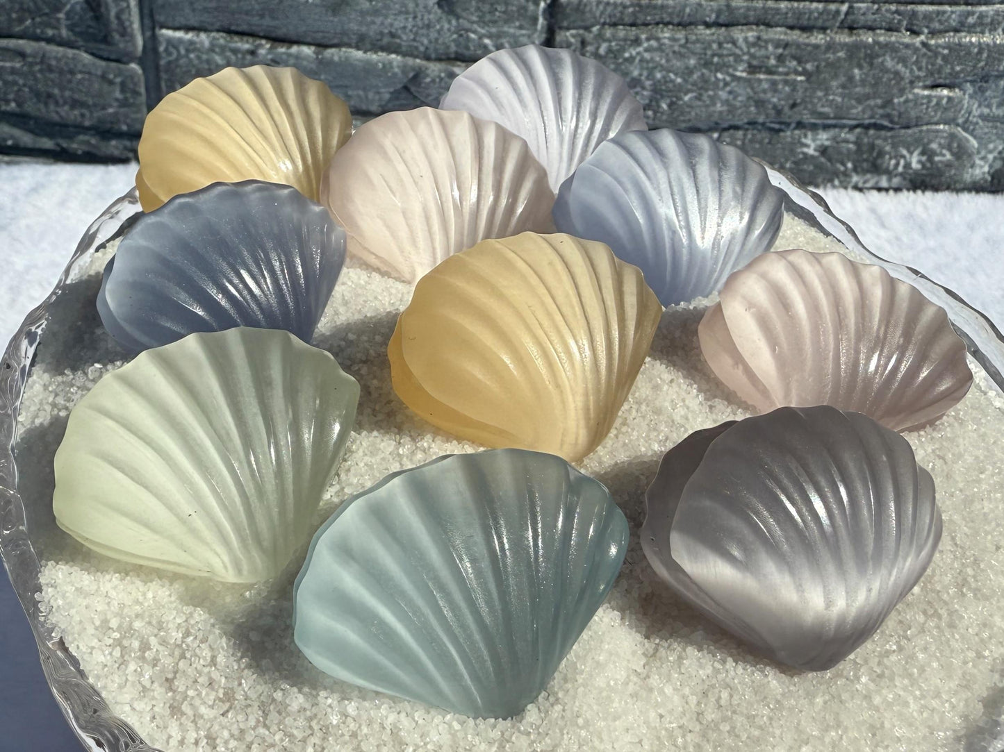 Cat's Eye Selenite Sea Shells