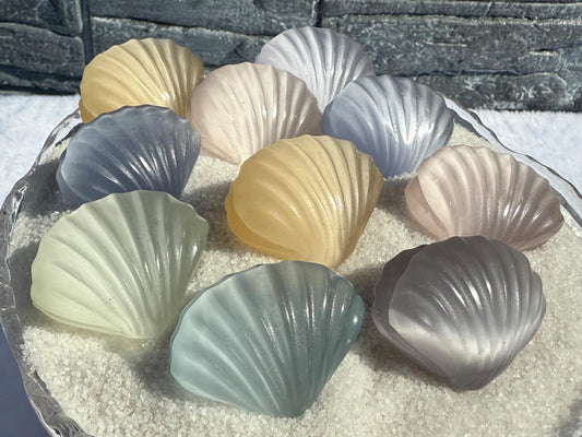 Cat's Eye Selenite Sea Shells