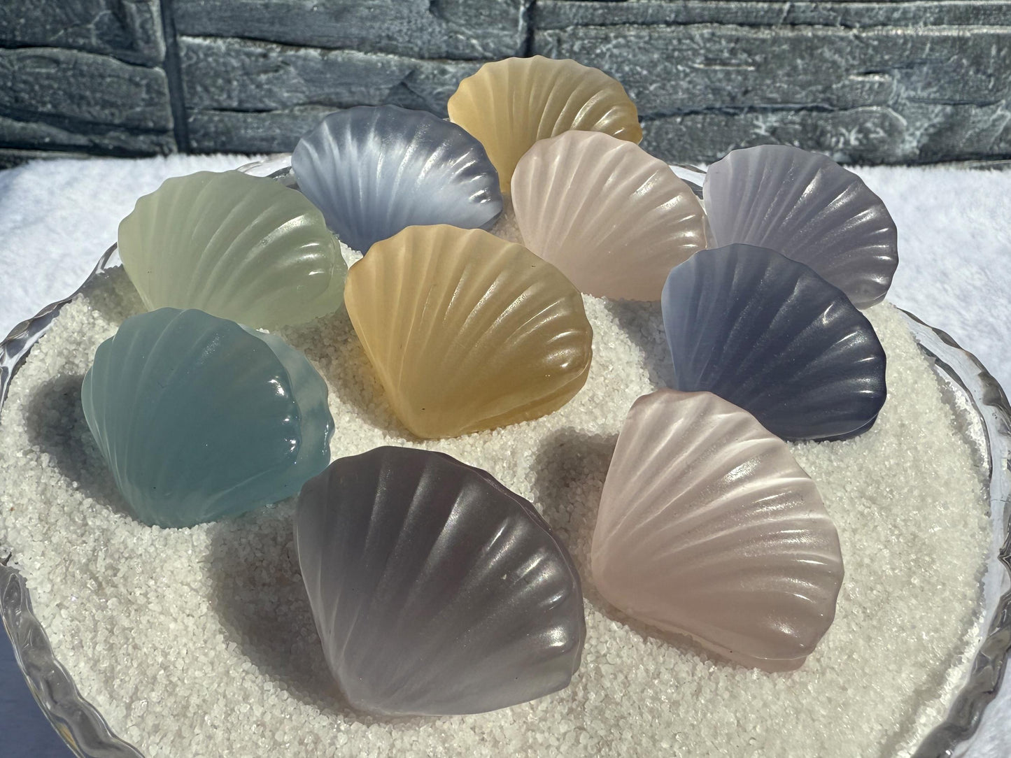 Cat's Eye Selenite Sea Shells