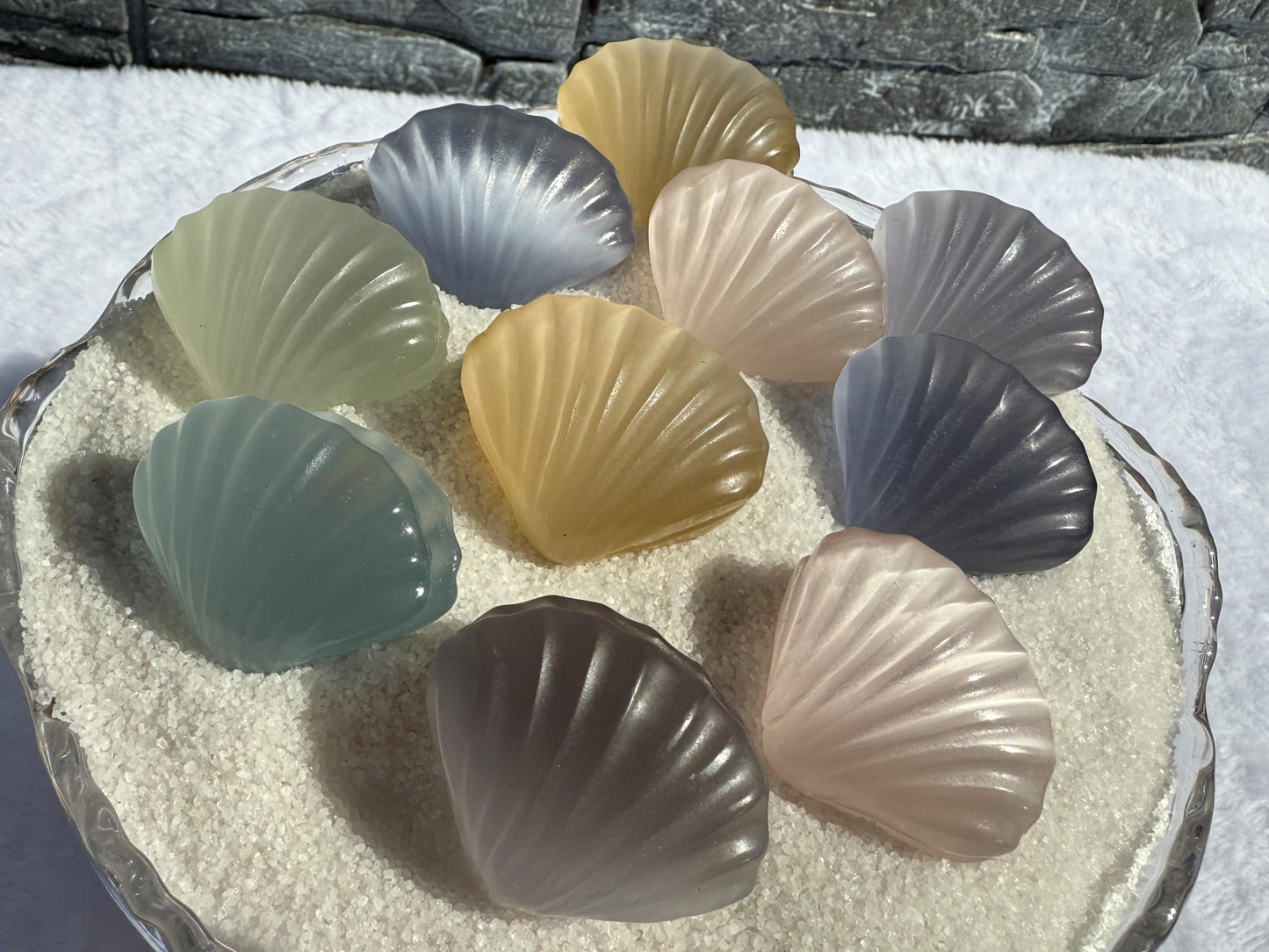 Cat's Eye Selenite Sea Shells