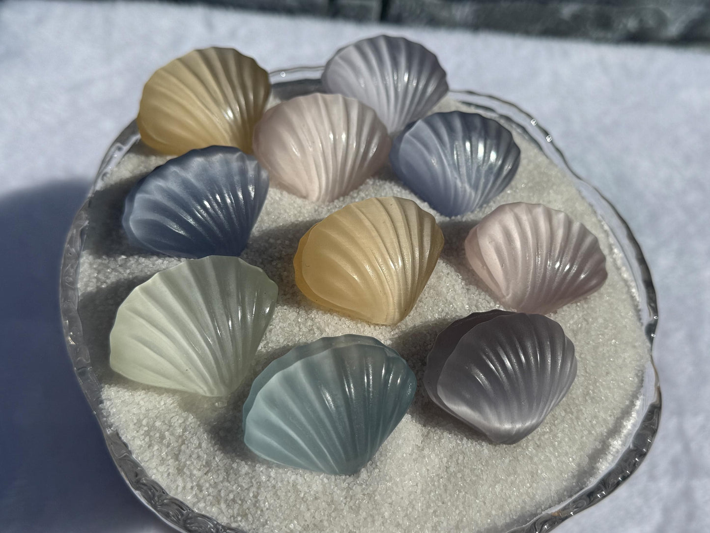 Cat's Eye Selenite Sea Shells