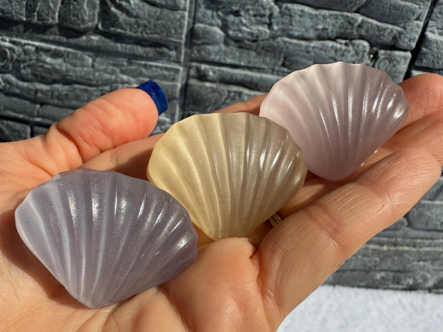 Cat's Eye Selenite Sea Shells