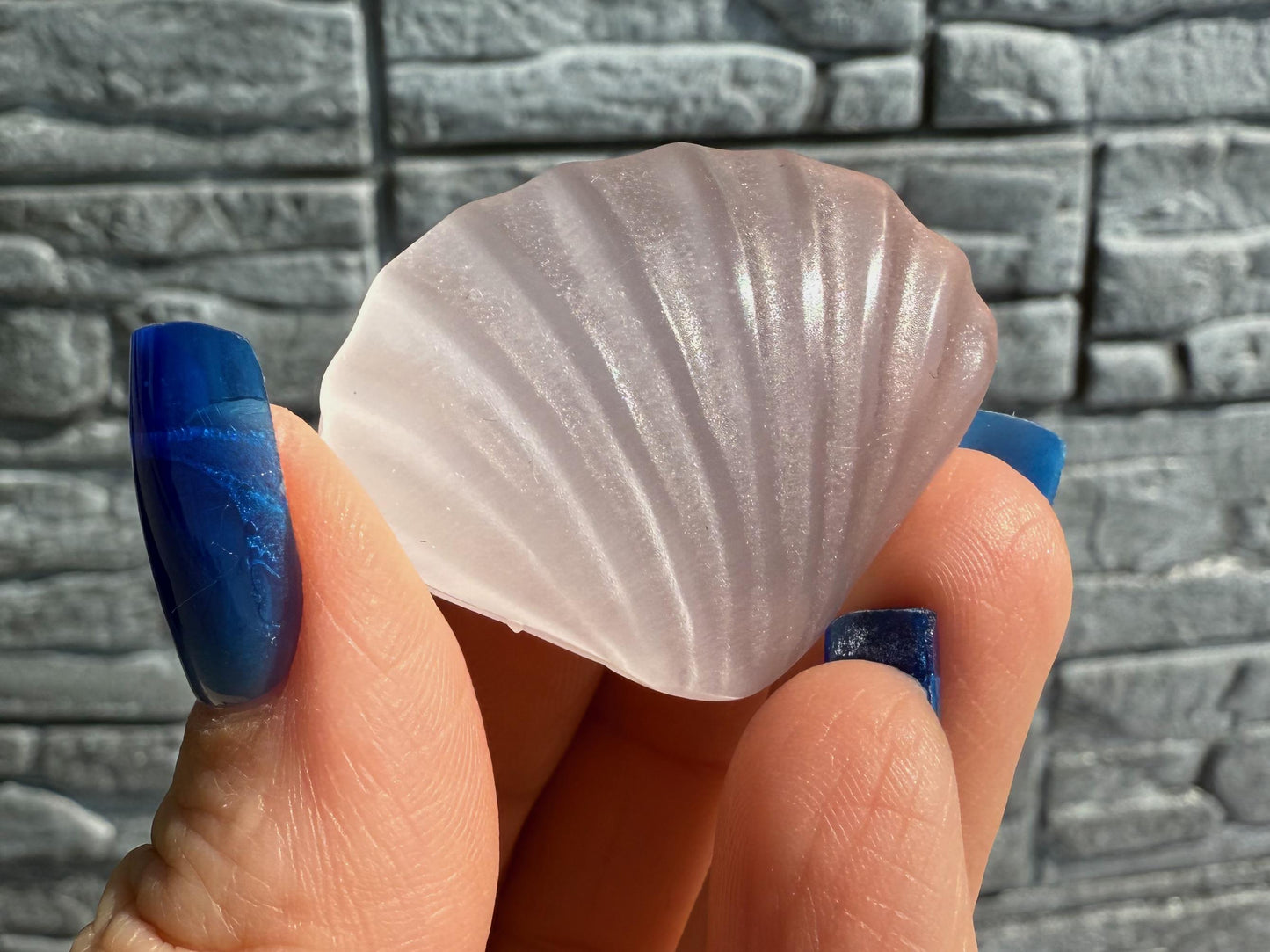 Cat's Eye Selenite Sea Shells