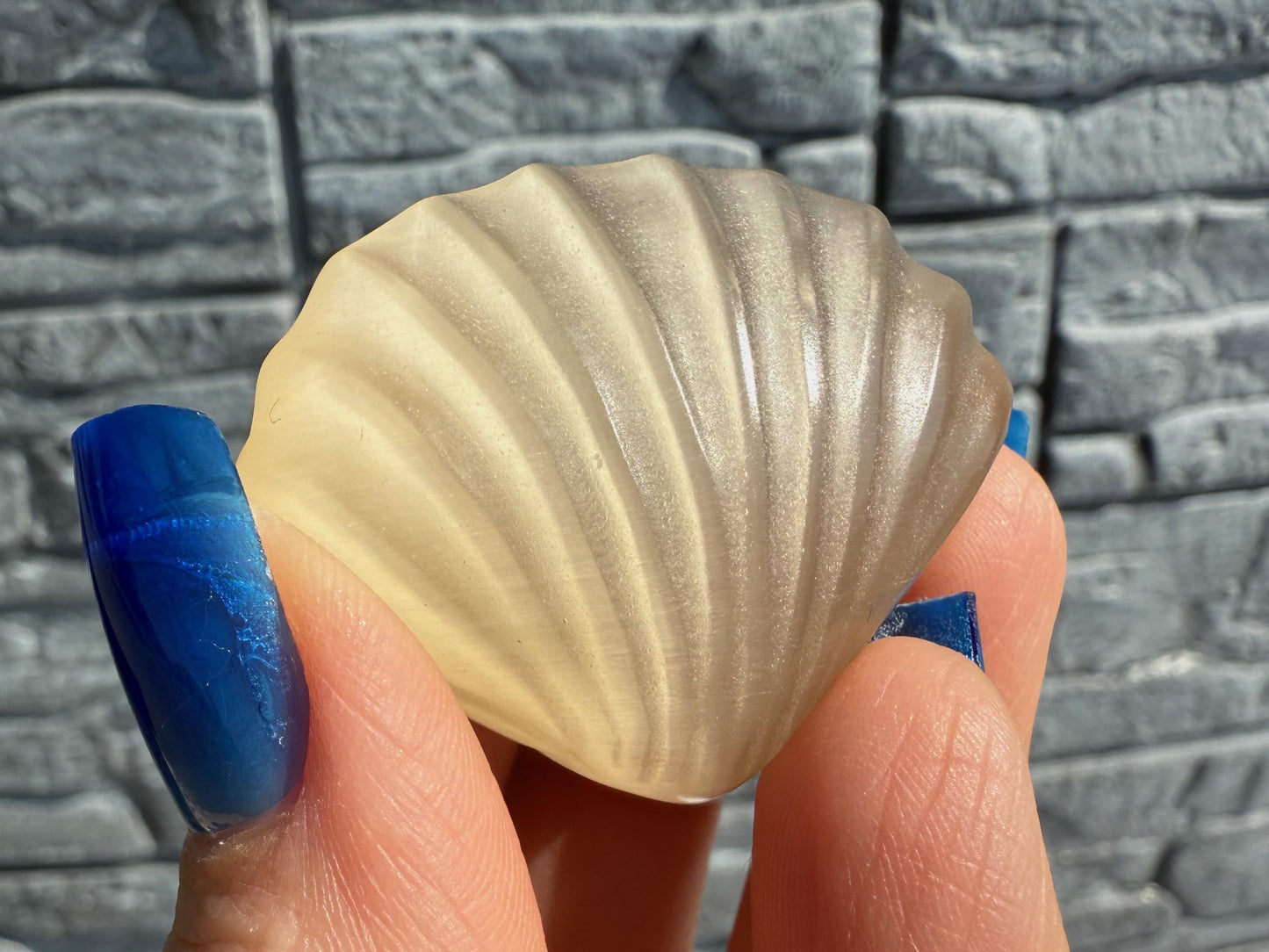 Cat's Eye Selenite Sea Shells